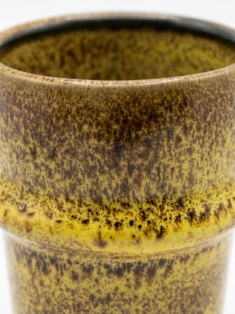 Beldi Tasse